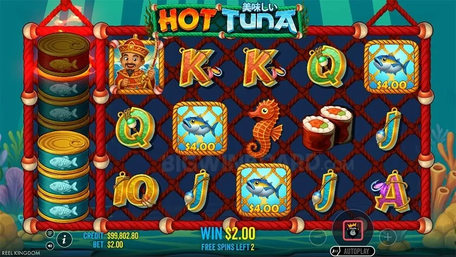 phdream Understanding Roulette Odds